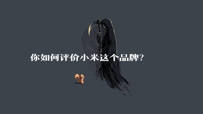 你如何评价小米这个品牌？