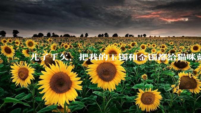 儿子手欠，把我的玉镯和金镯都给猫咪戴上了，结果现在戴上去拿不下来了。有什么办法取下来吗？大家帮忙想想?
