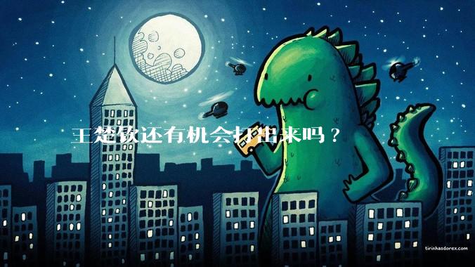 王楚钦还有机会打出来吗?